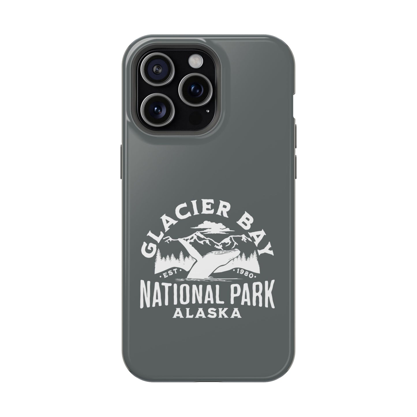 Glacier Bay National Park Alaska Magnetic Tough Cases